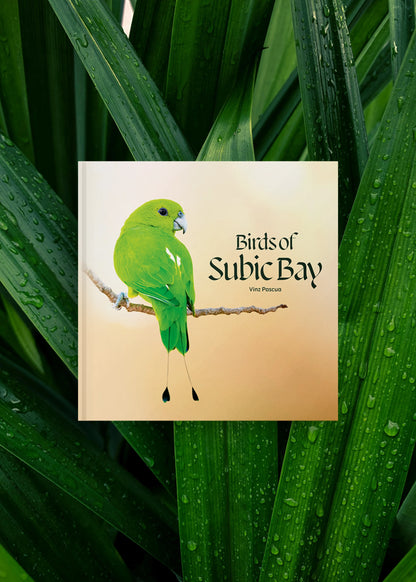 Birds of Subic Bay