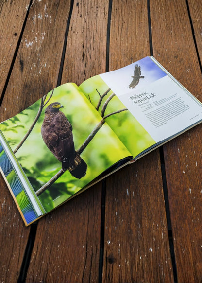 Birds of Subic Bay