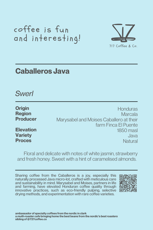 Caballeros Java