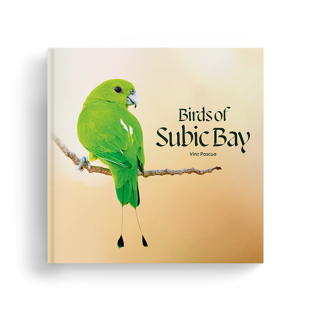 Birds of Subic Bay book by Vinz Pascua
