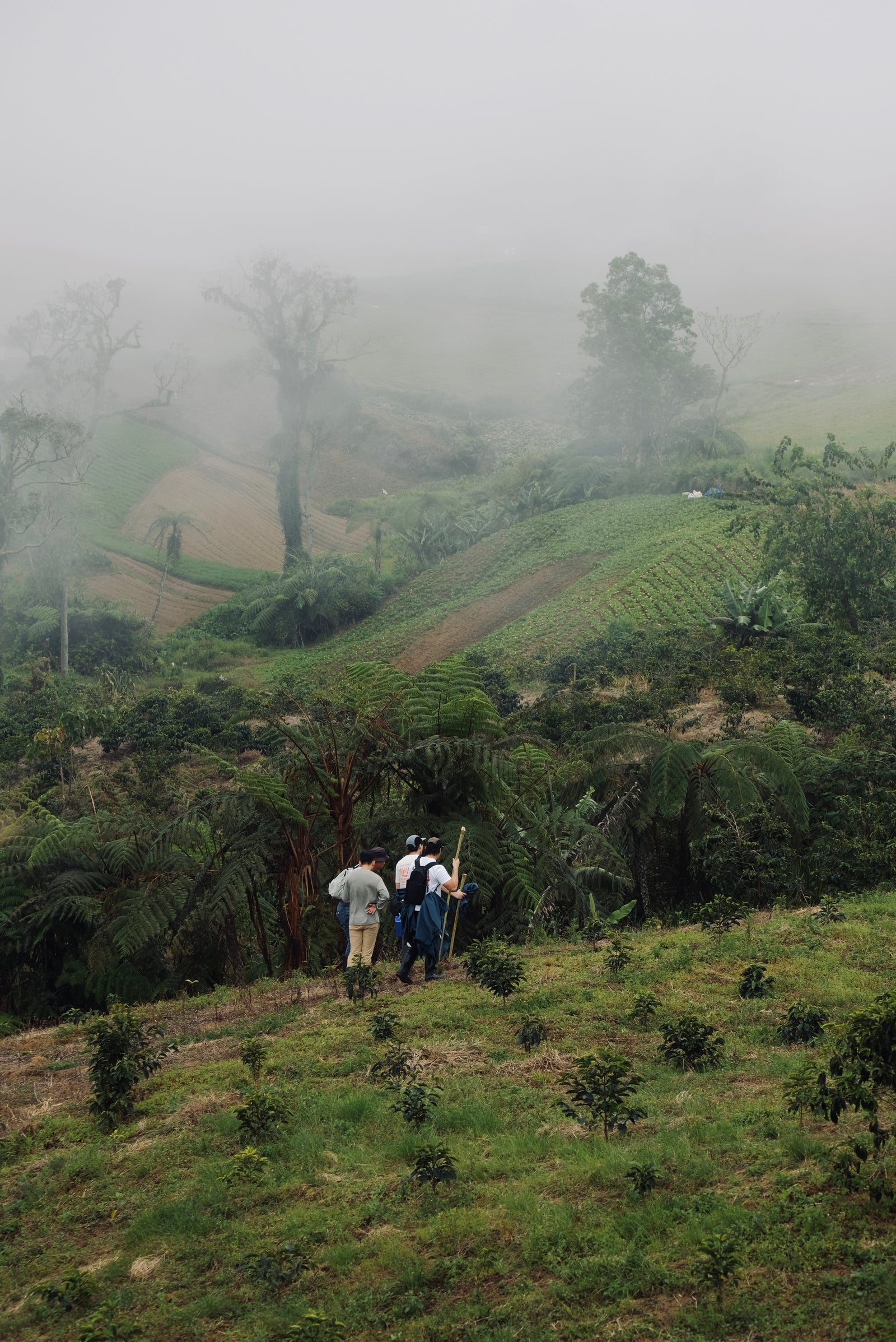 <p>Somewhere between the mountains, forests, and coastlines of Subic Bay, High Peak found its rhythm.</p>